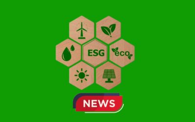 Rassegna ESG: cambiamento climatico, disuguaglianze sul posto di lavoro e certificazioni ambientali